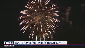 Watch live fireworks on the FOX Local app!