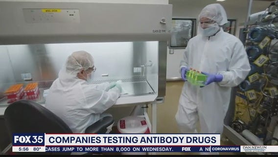 Companies testing antibody drugs