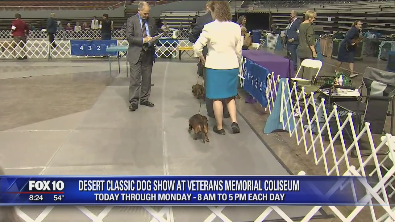 Cory's Corner: Desert Classic Dog Show