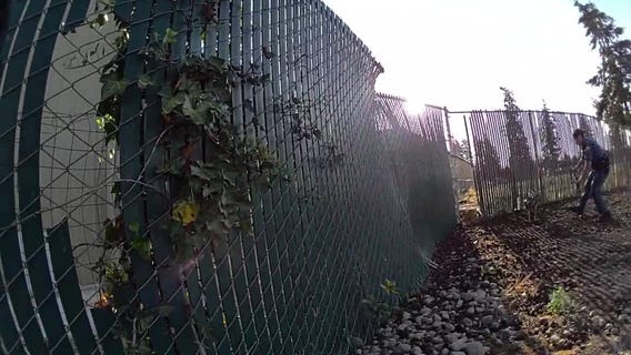 Wallaby captured in Parkland