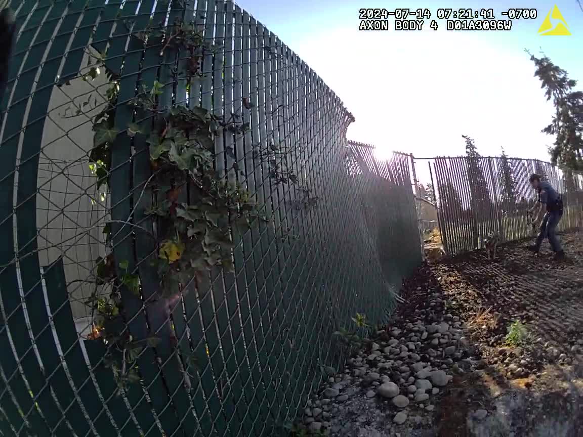 Wallaby captured in Parkland