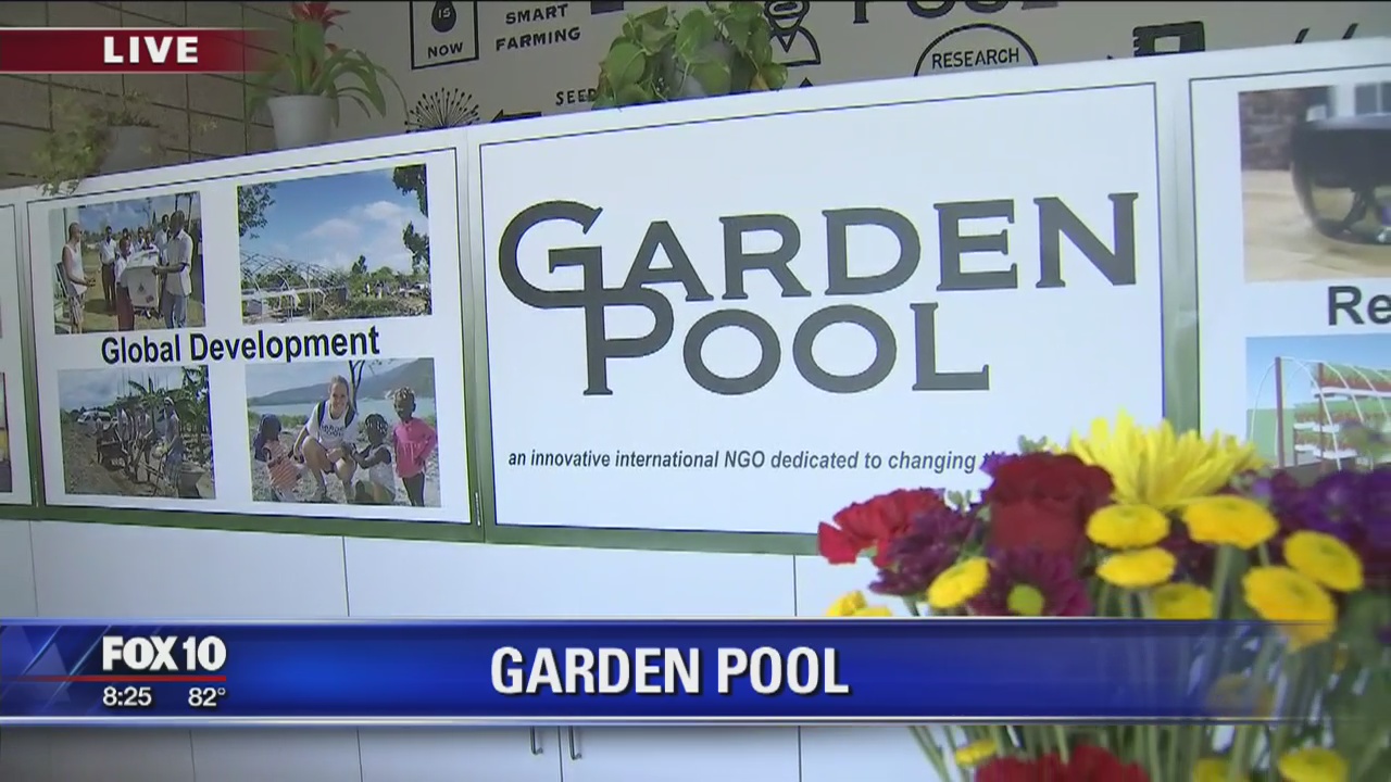 Cory's Corner: Garden Pool