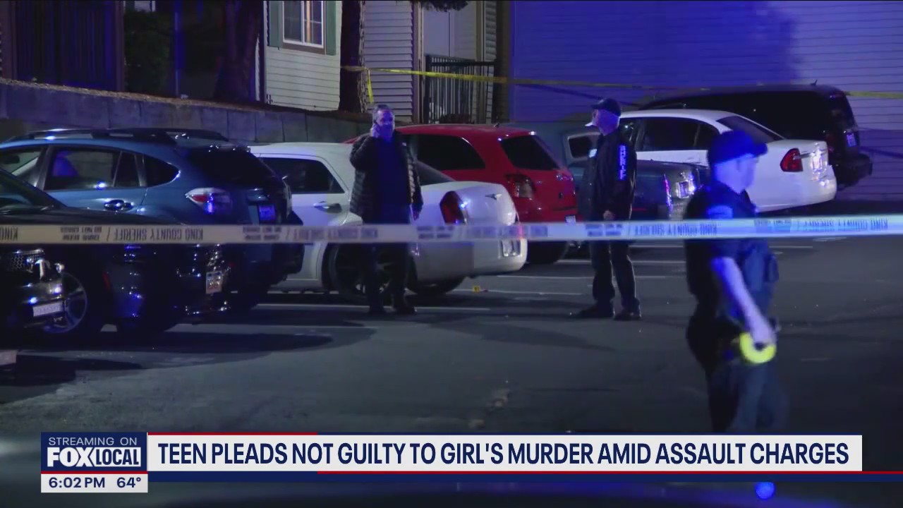 Teen pleads not guilty to girl's murder amid assault charges | FOX 13 ...