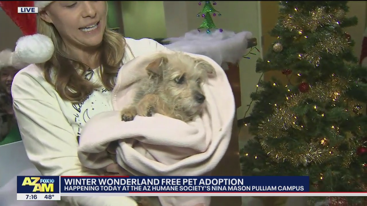 Arizona Humane Society hosts Winter Wonderland event with free adoptions