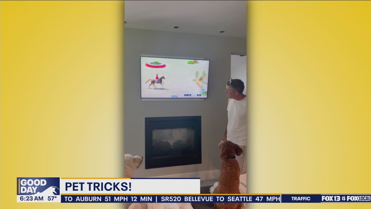 Good Day Pet Tricks for Tuesday, Aug. 6