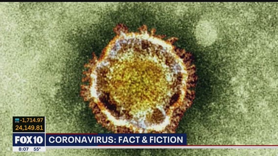Coronavirus: Fact & Fiction