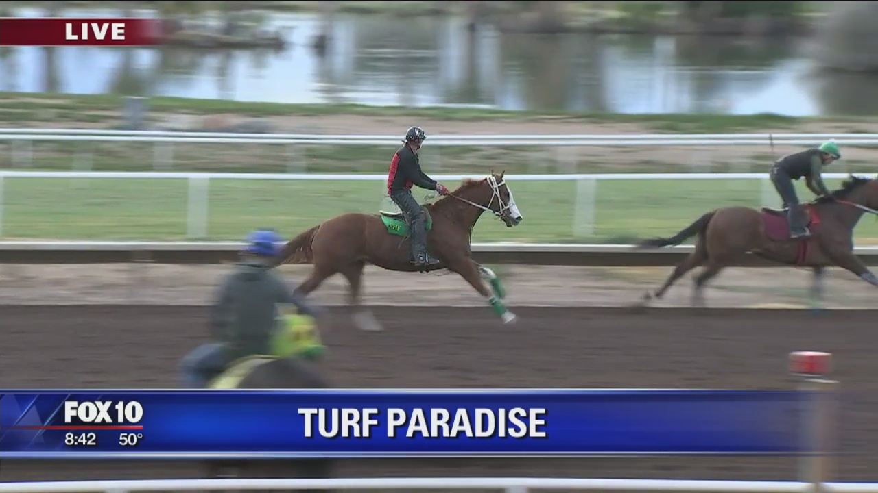 Cory's Corner: Turf Paradise