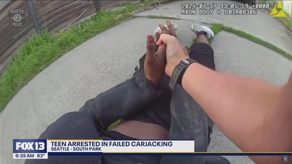 Teen arrested in failed carjacking: New bodycam video