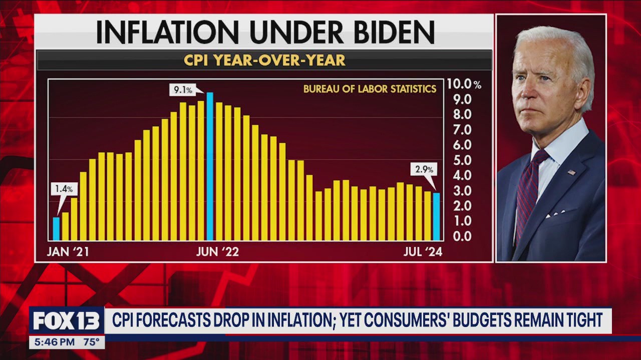 CPI forecasts drop in inflation, consumers' budgets remain tight