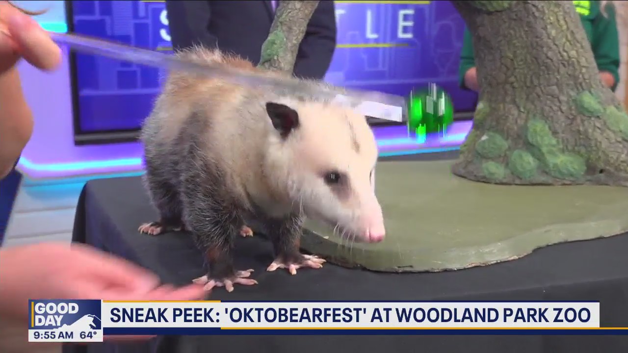 'Oktobearfest' at Woodland Park Zoo: Sneak Peek
