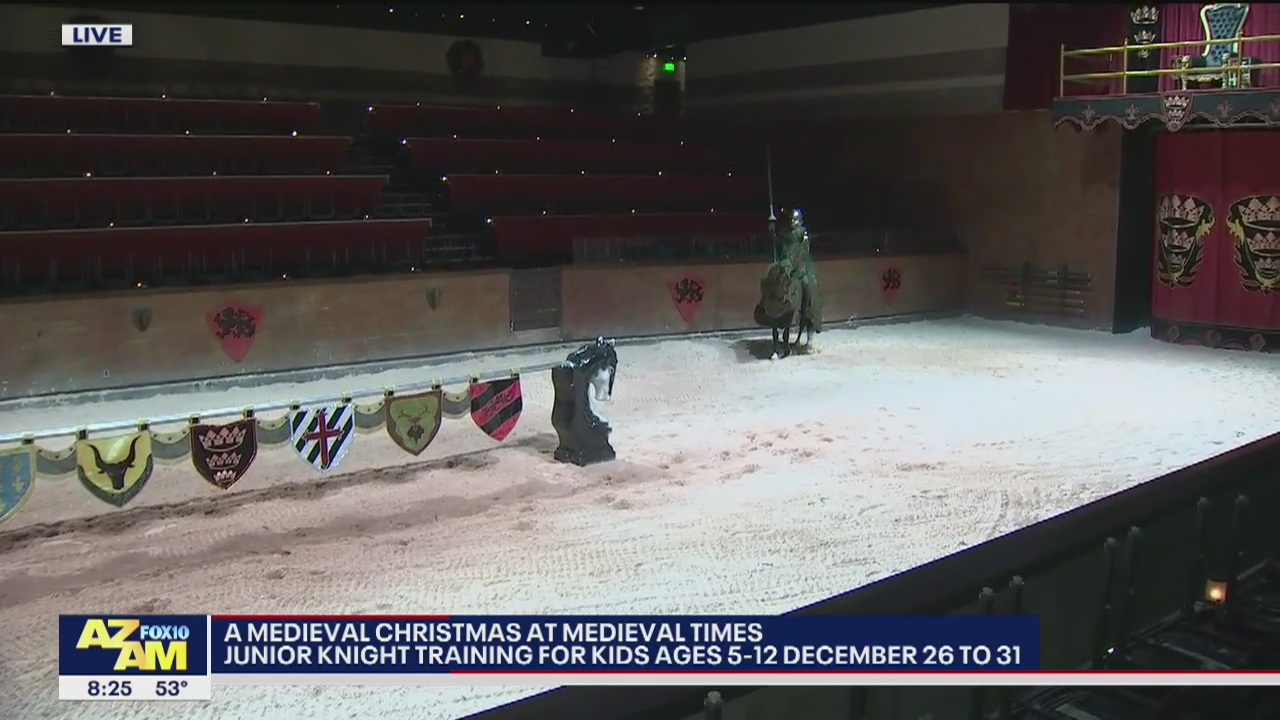 A Medieval Christmas at Medieval Times