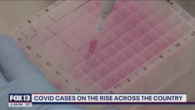 COVID cases on the rise