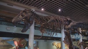 Academy of Natural Sciences Museum