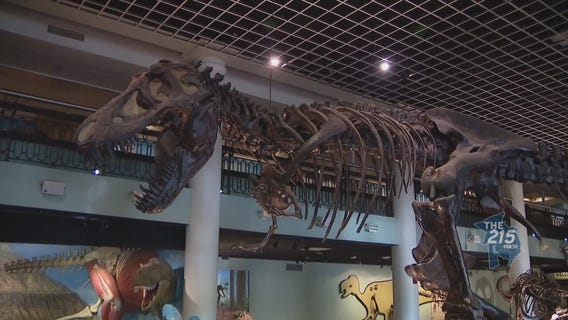 Academy of Natural Sciences Museum