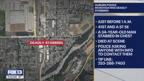 Auburn police investigate deadly stabbing