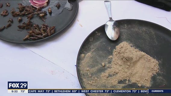 Coyote Crossing celebrates 25th anniversary with cricket flour