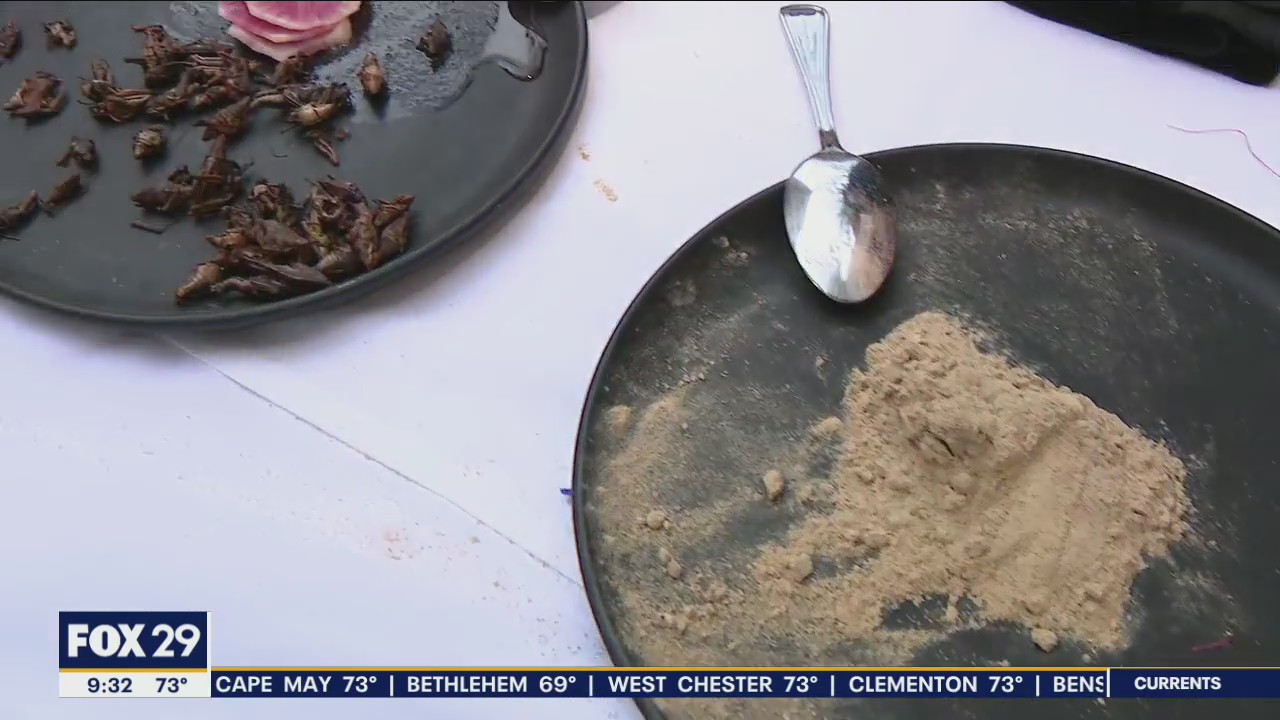 Coyote Crossing celebrates 25th anniversary with cricket flour