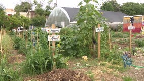 Urban Creators: Food, art & community combine to nurture resilience in North Philadelphia