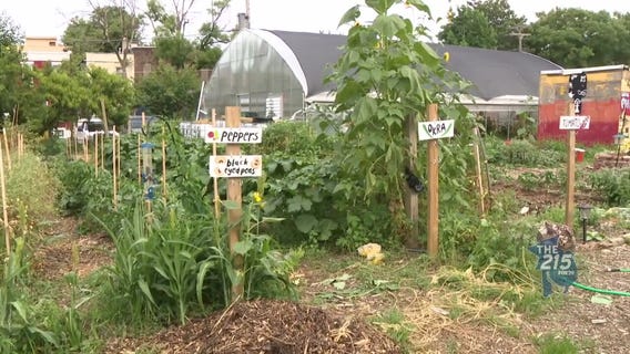 Urban Creators: Food, art & community combine to nurture resilience in North Philadelphia