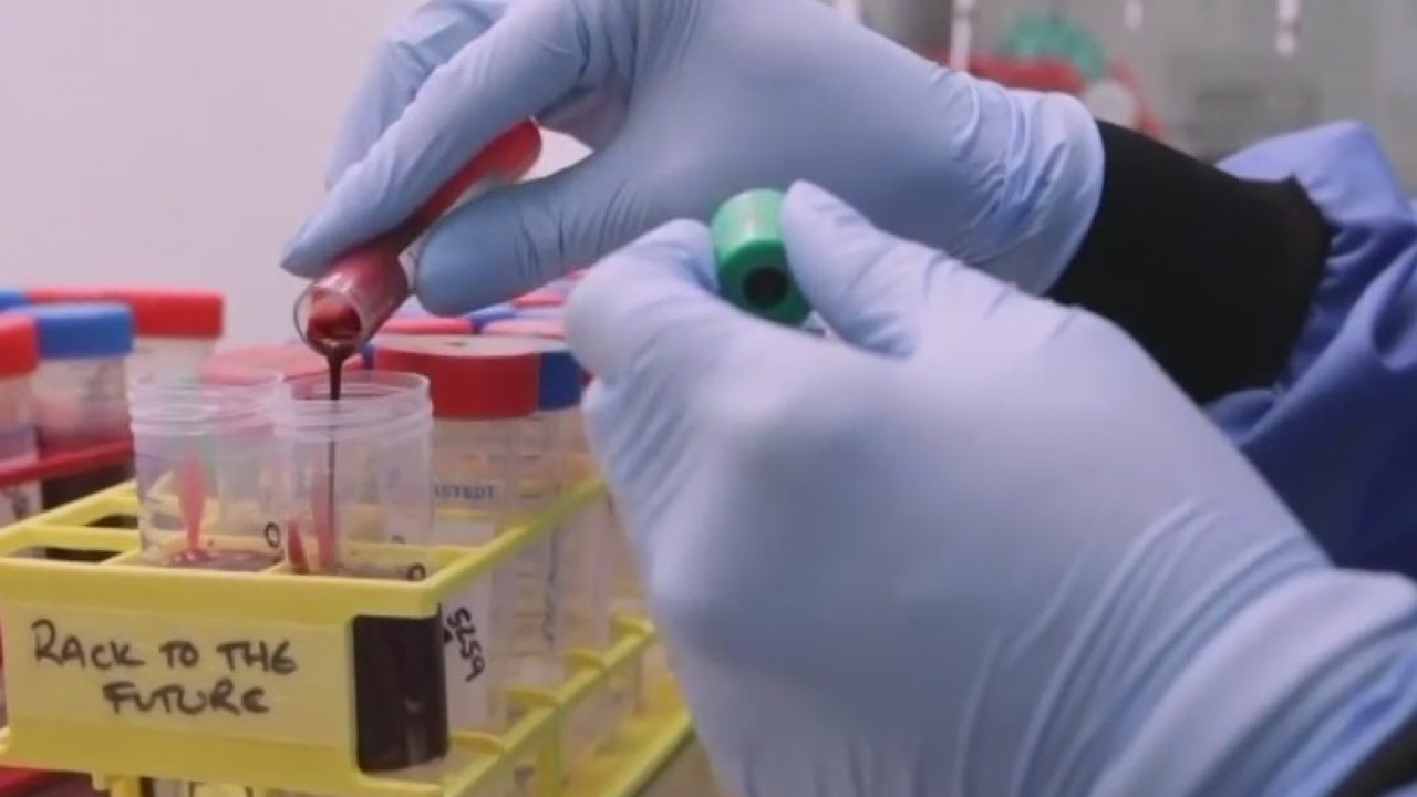 Suspended vaccine testing no cause for concern, research CEO says