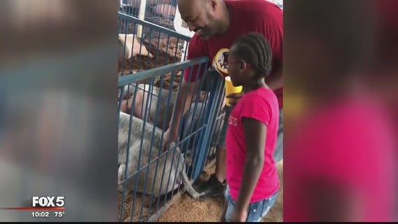 Maryland girl hospitalized with swine flu after attending Charles County Fair