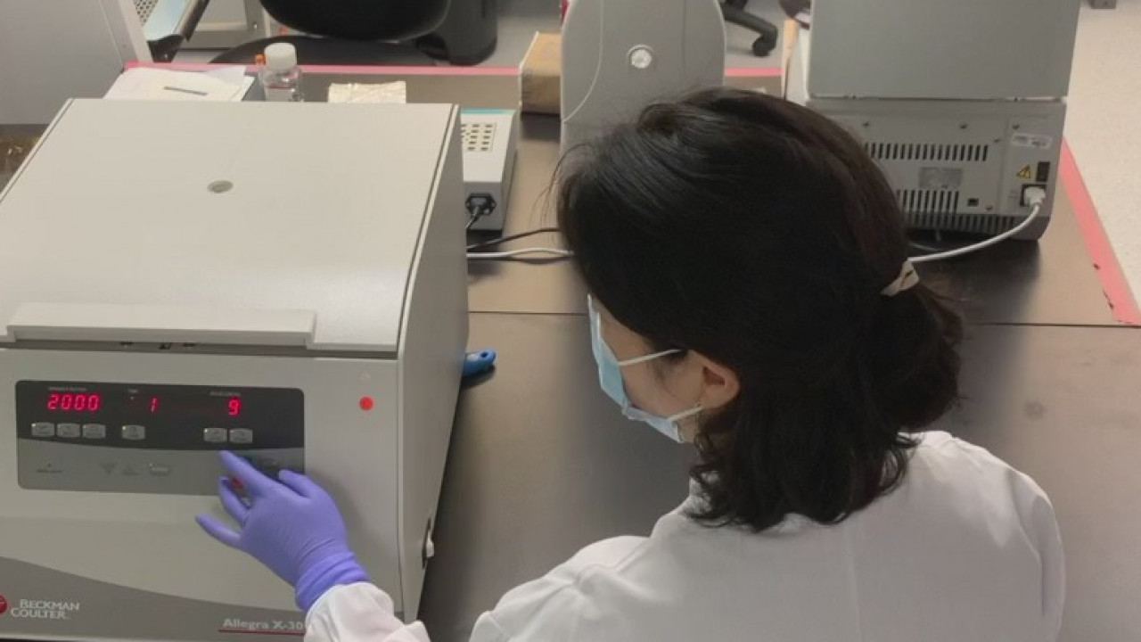 Company developing rapid COVID-19 test partners with Wisconsin lab