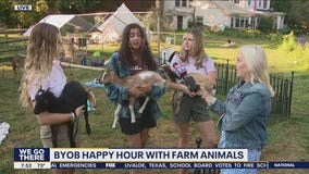BYOB Happy Hour with farm animals at Rose Bridge Farm