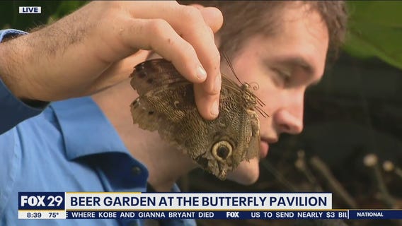Butterflies & beer join forces at the Beer Garden at the Butterfly Pavilion