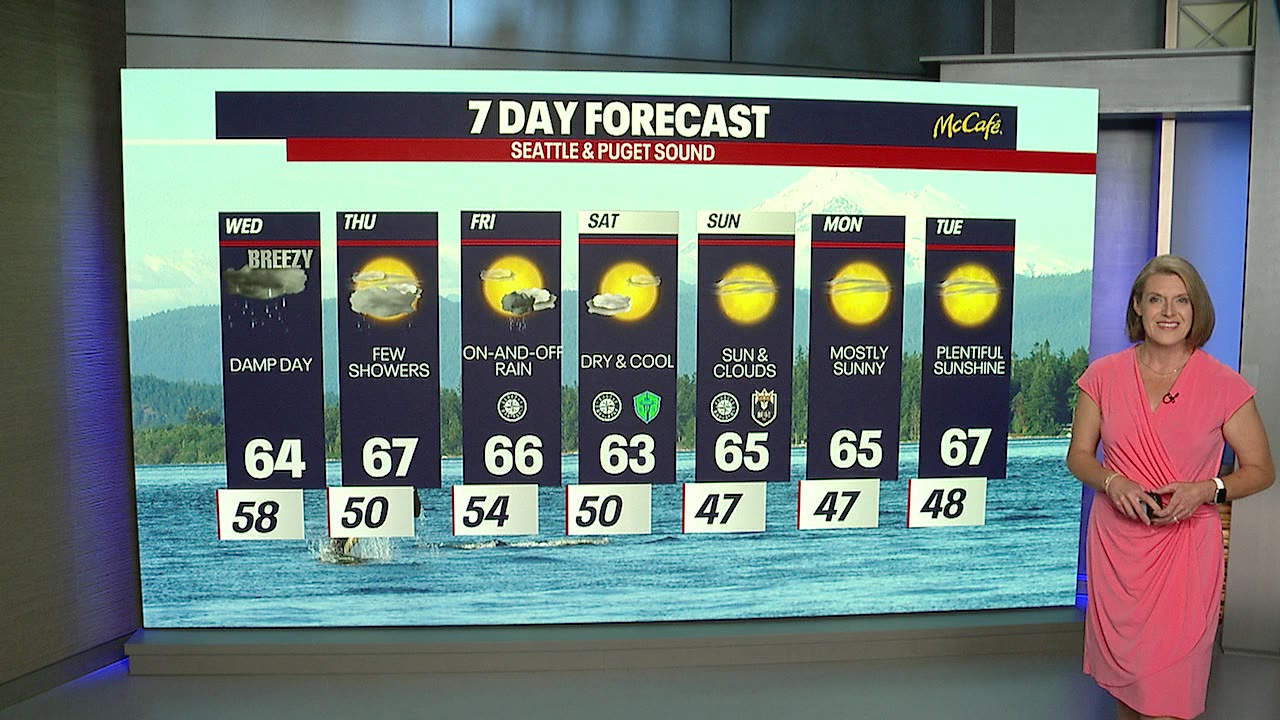 Damp Wednesday, dry and cool into the weekend