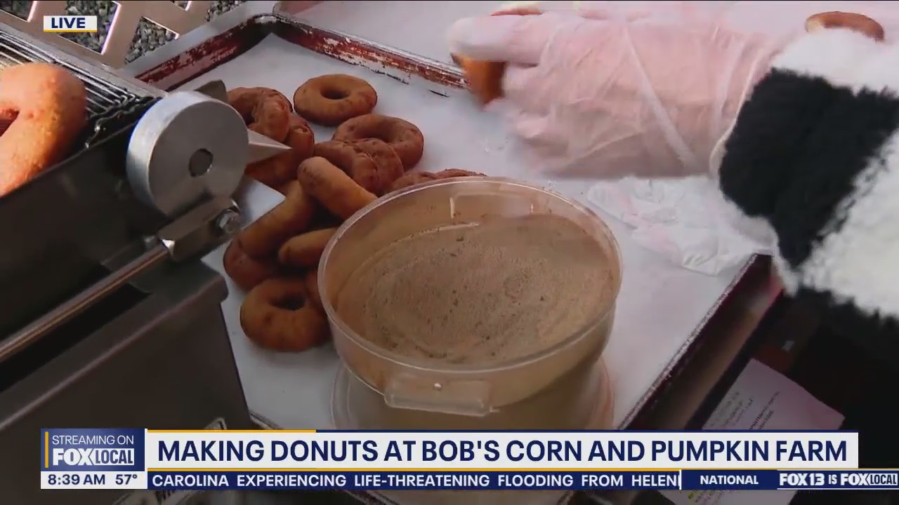 Checking out Bob?s Corn and Pumpkin Farm