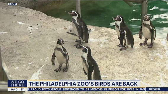 Birds are back at The Philadelphia Zoo!