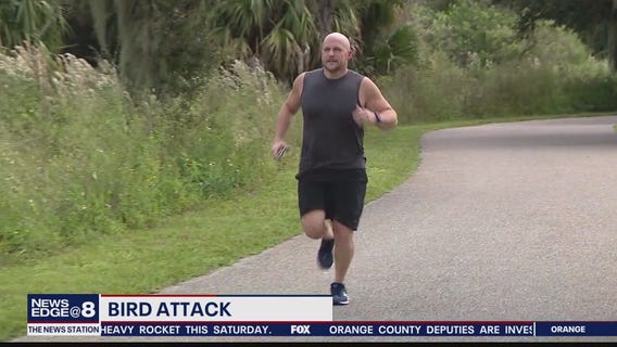 Bird dive-bombs jogger in Orlando's Baldwin Park