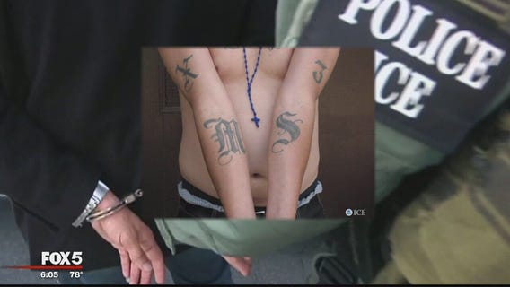 Anne Arundel County targeting violent gangs with new task force