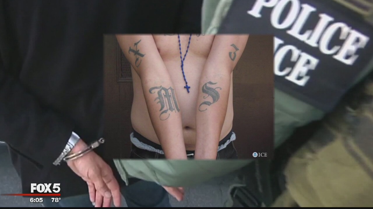 Anne Arundel County targeting violent gangs with new task force