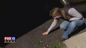 Contact 6 hears about problematic paver, again