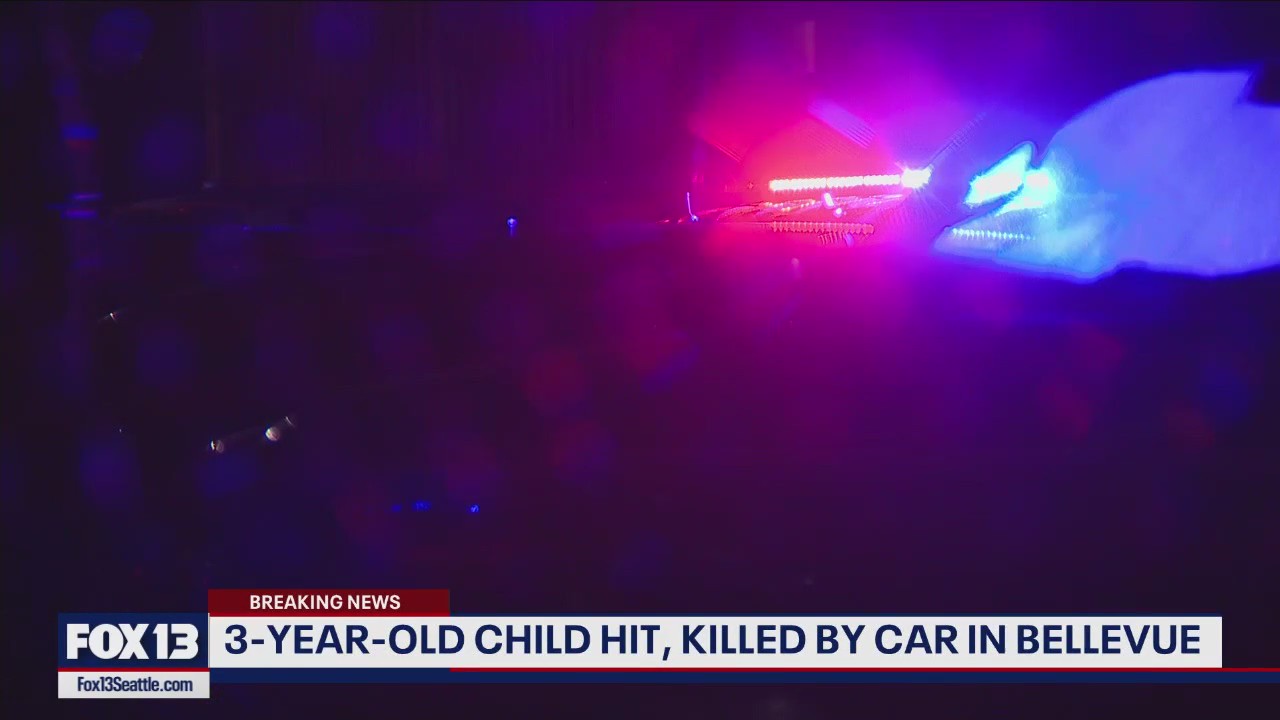 3-year-old child killed in Bellevue crash