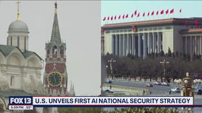 U.S. unveils first AI national security strategy