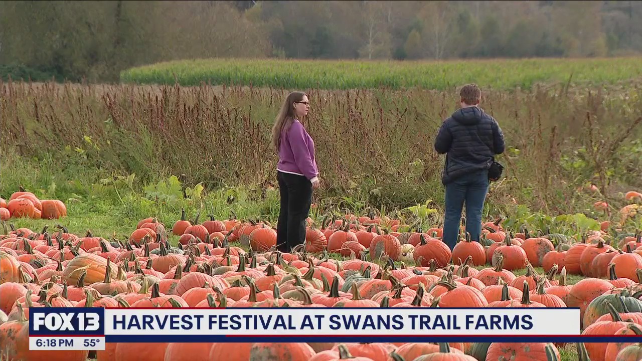 Harvest Festival at Swans Trail Farms