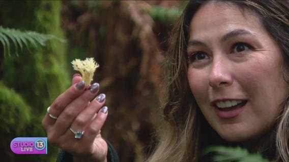Mushroom hunting in WA with Savor the Wild Tours