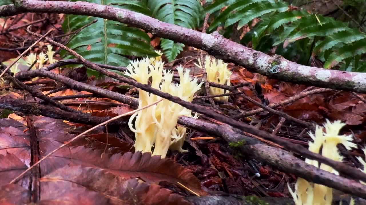 Watch Studio 13 Live full episode: Wednesday, October 30