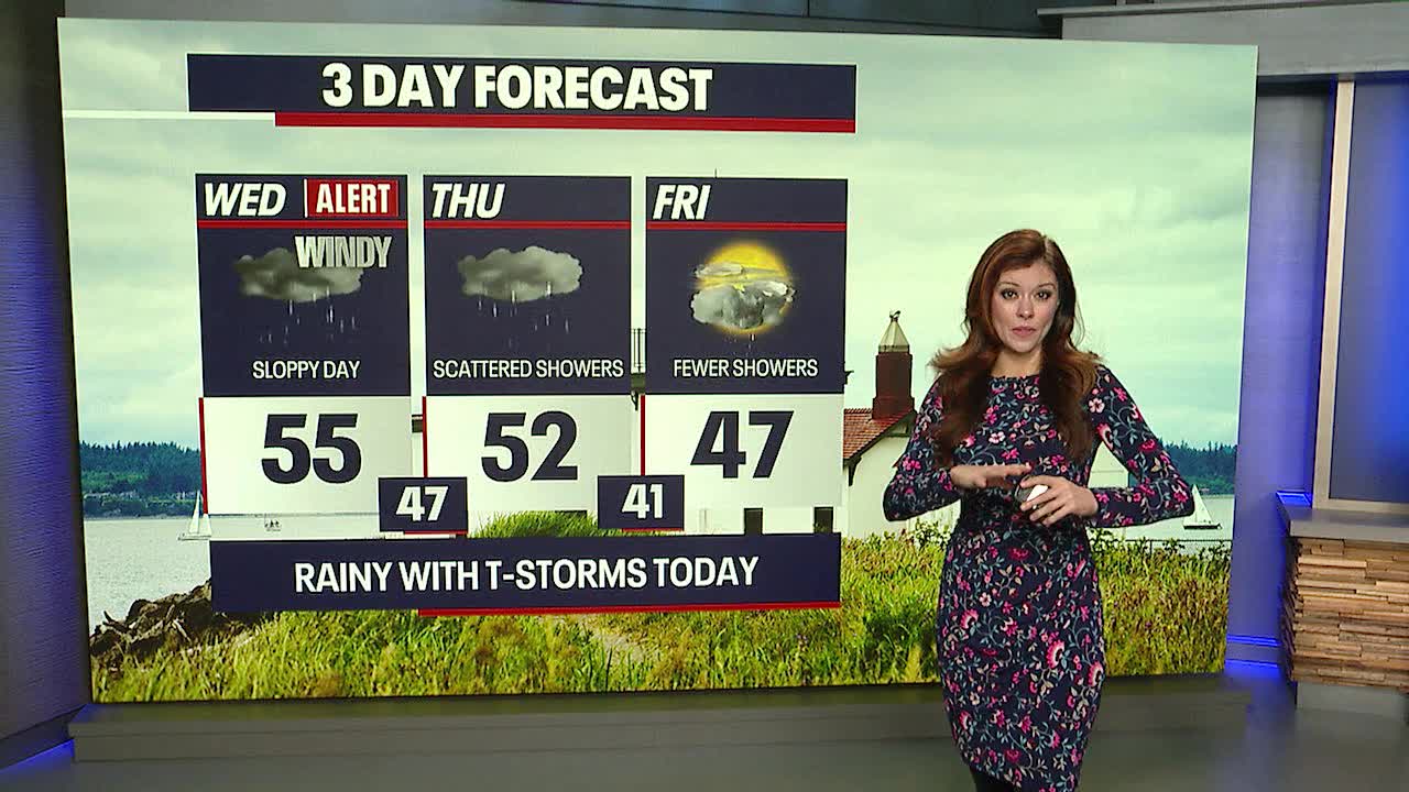 Strong winds, heavy rain for Wednesday morning