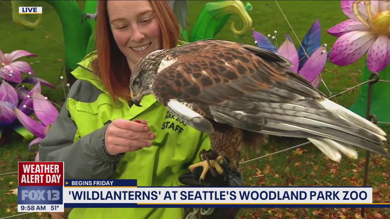'Wildlanterns' at Seattle's Woodland Park Zoo