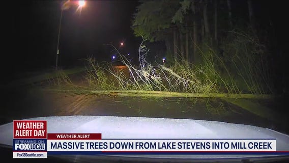 Massive trees down from Lake Stevens to Mill Creek