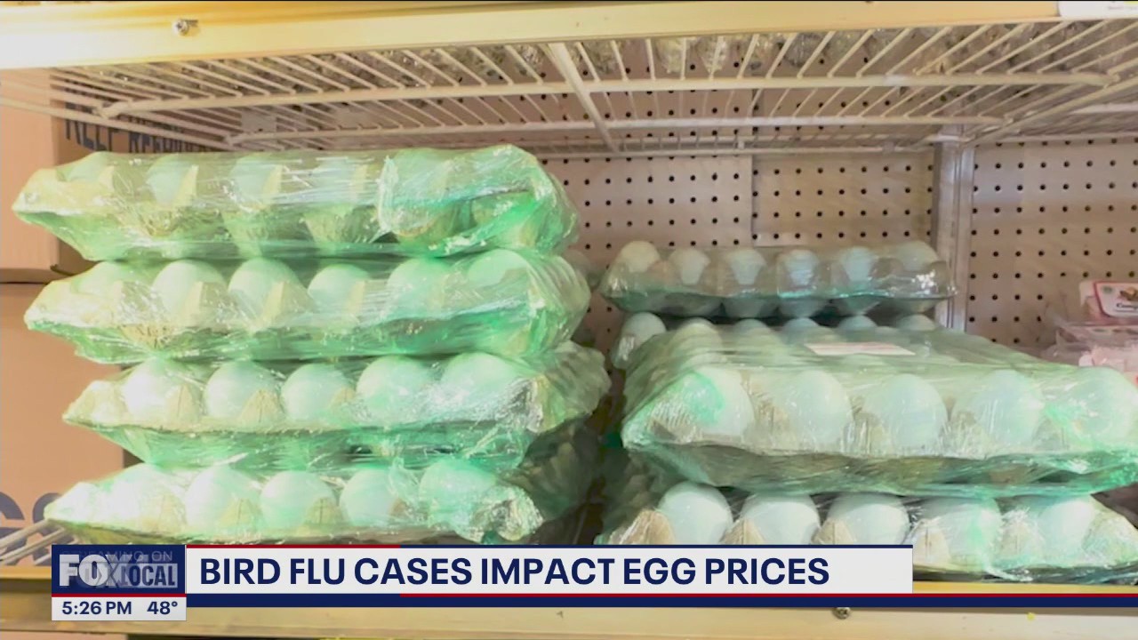 Bird flu cases impact egg prices