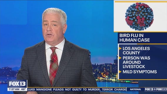 Bird flu in a human confirmed in CA