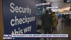 Two incidents at SEA Airport during busy travel season