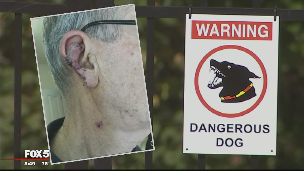 Elderly man loses part of ear after being attacked by neighbor's dog