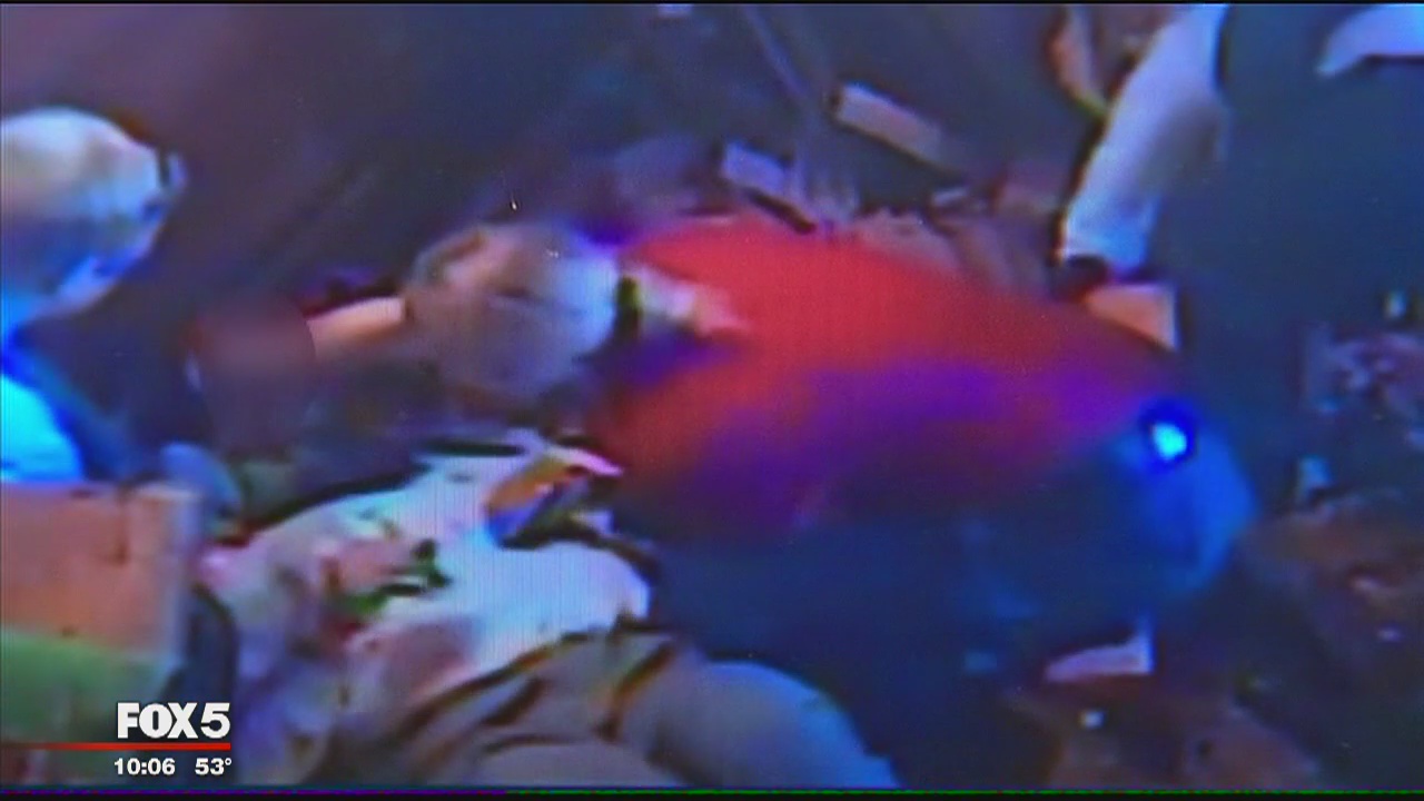 Prince George's County sheriff's deputy inside restaurant jumps into action after car crashes into building