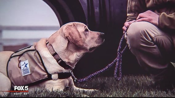Warrior Canine Connection abruptly told to stop operation