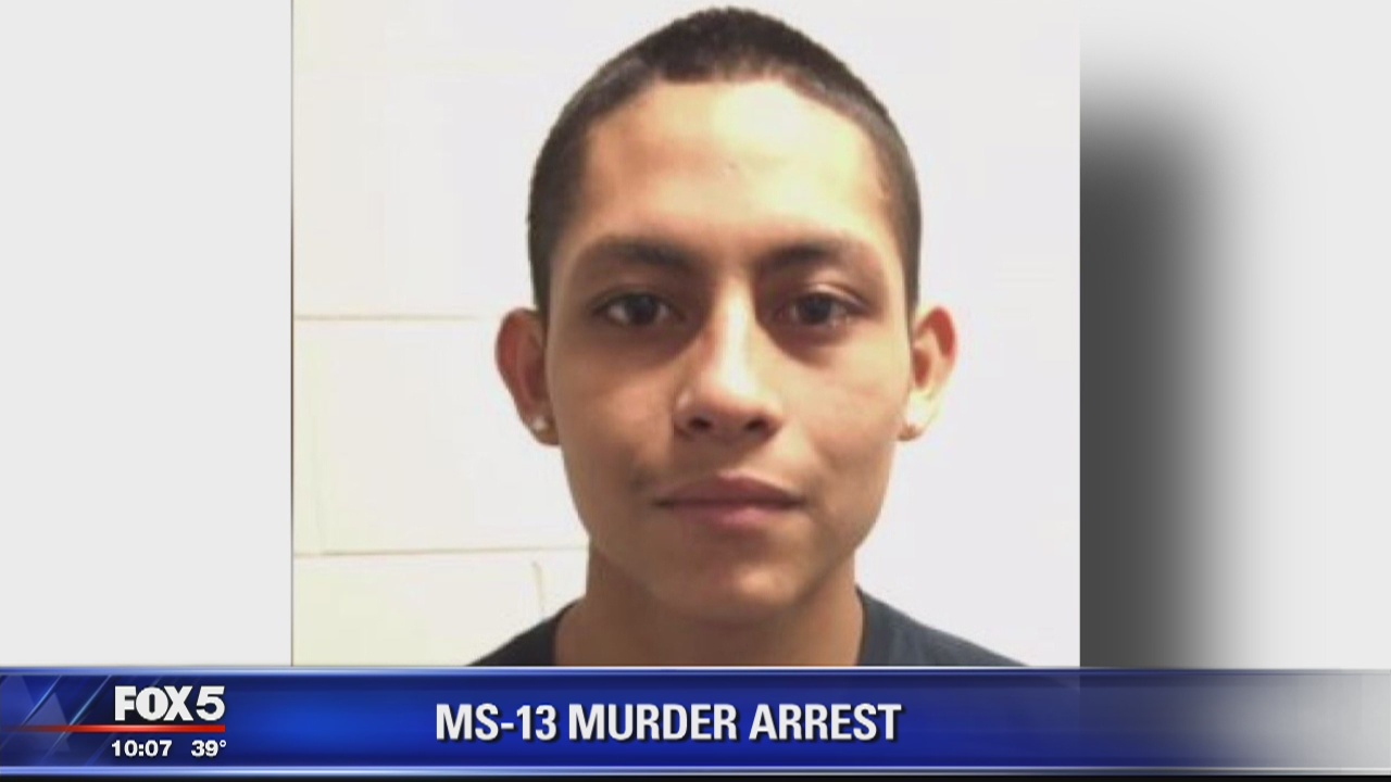Victim in MS-13 gang killing was stabbed 100 times, decapitated, had heart cut out, court docs say